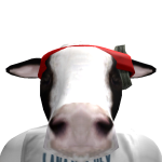 @robloXreatorSSSs