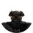 floopy699
