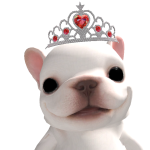 @POPIPANDY