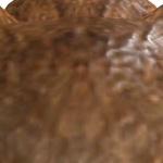 @westcools
