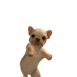 @Cutecookiegamer25c