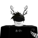 @MrRoblox537