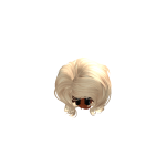 @d00rtjes