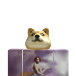 @kevinhevib