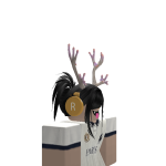 @rj120312