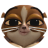 Xeqtometrist
