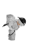 bro
