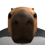@aaronudho1