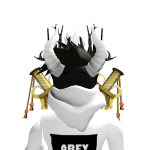 @darthbleebs26