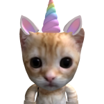 @charwoo13