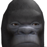 @SeleversBrother123