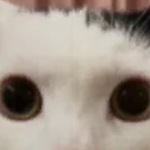 @SAD_MINATZ