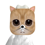 @jamie_random