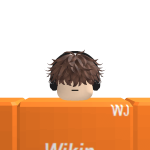 @WikinRS1PC
