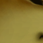 @Roblox10_04
