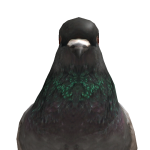 @Aye2DWasTaken