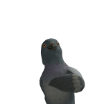 @jaceonthecase555