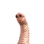 @ComoHitsDea