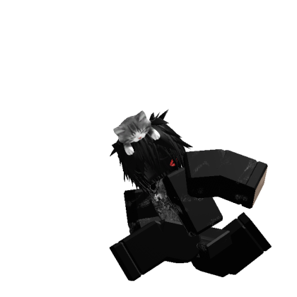 Roblox profile picture for @stav