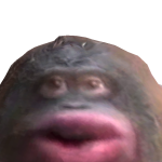 @PJPlayzzYT