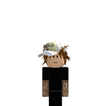 @NoahTheAwesome2013