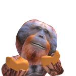 @Sneeks02