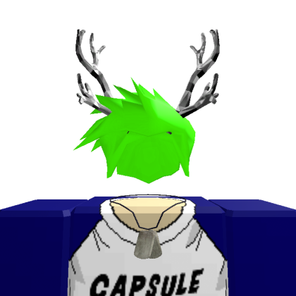 Roblox profile picture for @skeptical