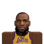 @lebronjameslover500