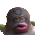 @Thatmexicanplays