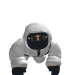 @B1nkybo0