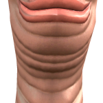 @MissingPercs