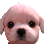@Lbvious