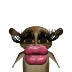 monkey1