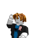 Rig