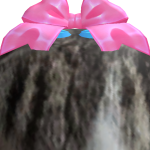 @starstableplayer111