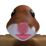 @pokemon202120