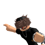 @sh_1nz0