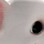 Sss
