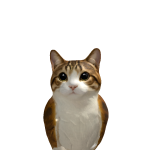 @GOLDENSCOTTY