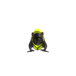 @swagginriley