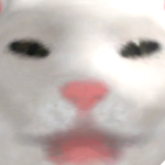 @JoolCaat