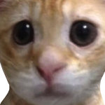 @katpug10