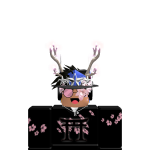 @UseKiwiV4