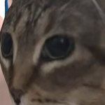 @Syliok