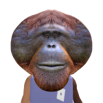 @pympdanny