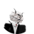 RoonWEA