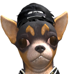 @Robo_Shark12345