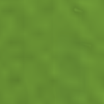 @robloxmurder572