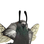 @zooertcat