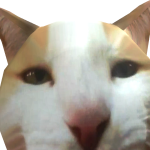 beans
